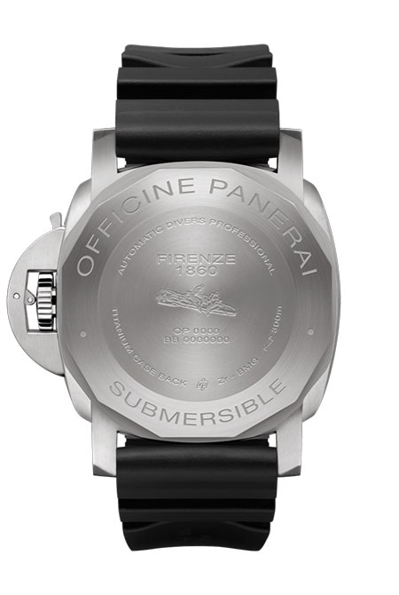 PAM00692-CASEBACK