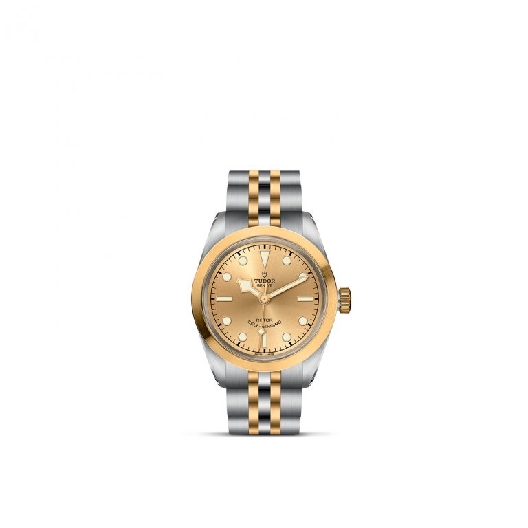 tudor switzerland
