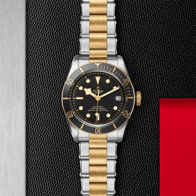 TUDOR Black Bay S G Watches of Switzerland