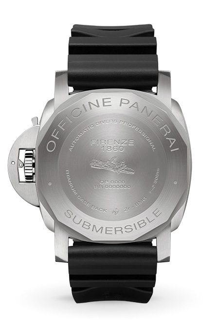 PAM00799-b