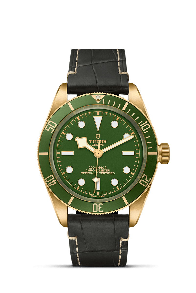 M79018V-0001-tudor-black-bay-58-gold
