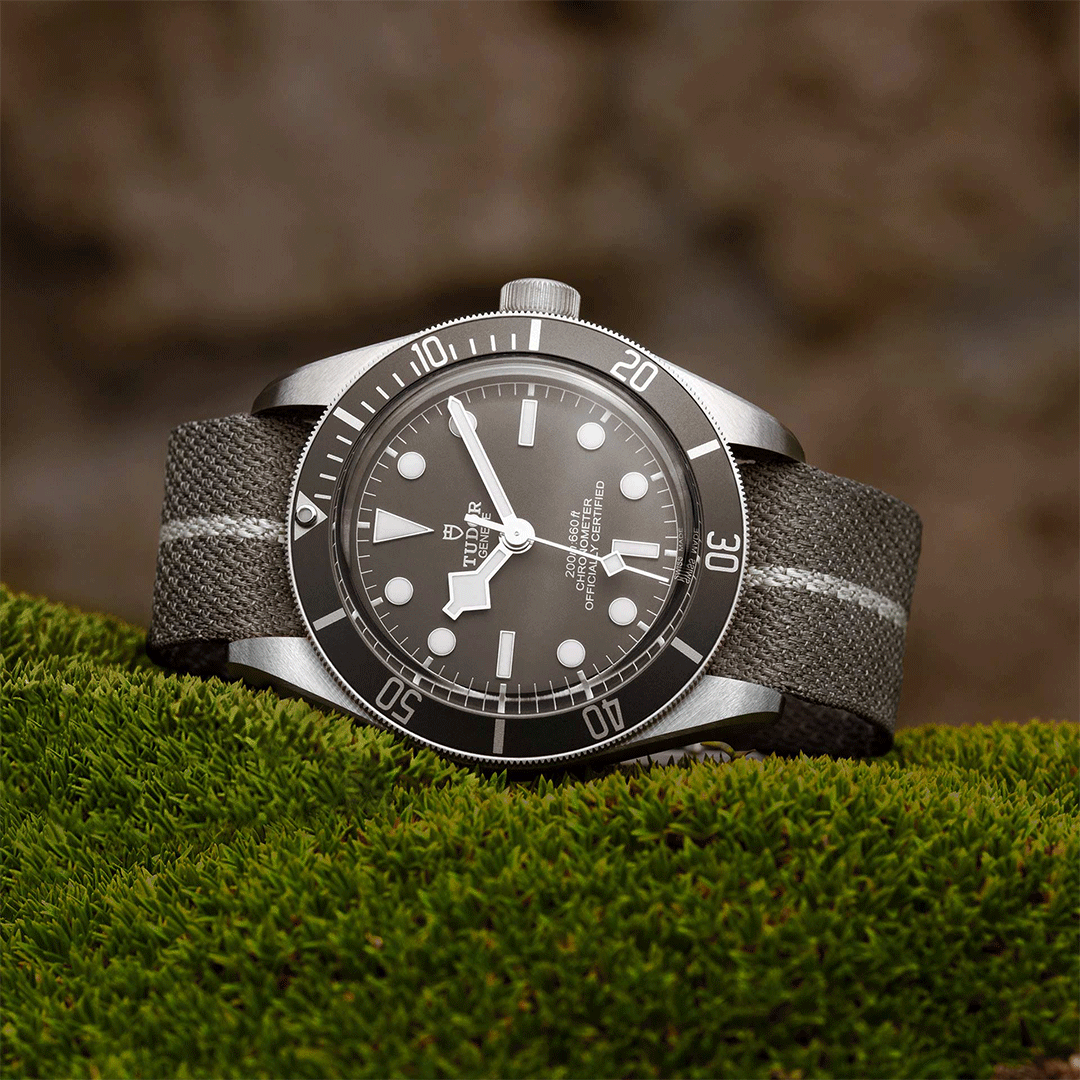 tudor black bay 79010sg