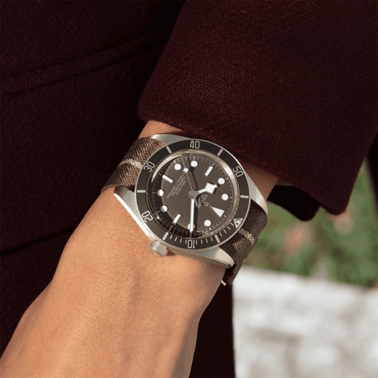 Tudor black bay silver and gold sale