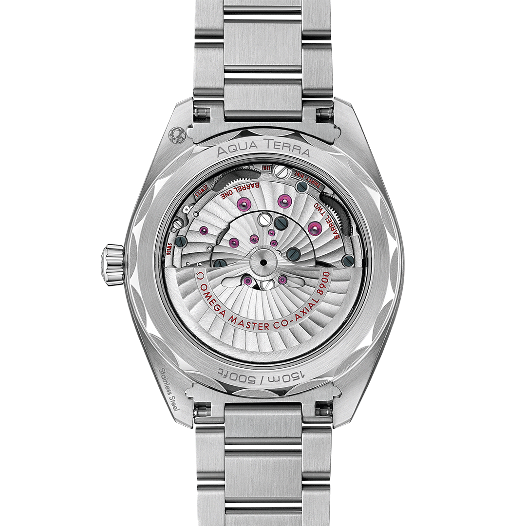 omega-seamaster-aqua-terra-150m-co-axial-master-chronometer-41-mm-22010412103004