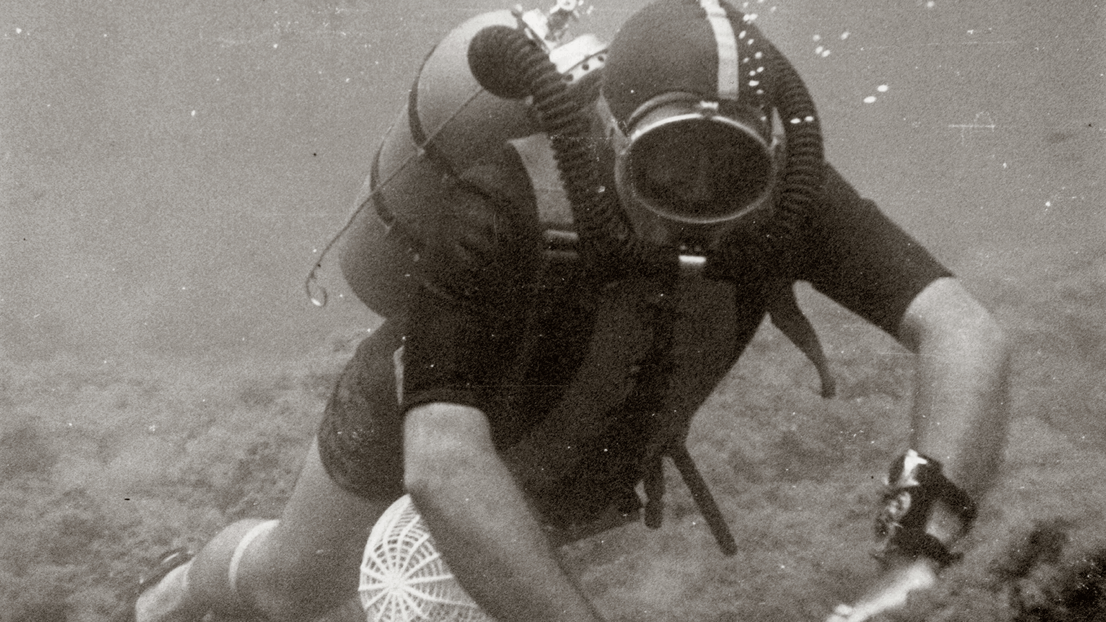 J.j. Fiechter Blancpain CEO 1950-1980 during one of his first dives in the South of France