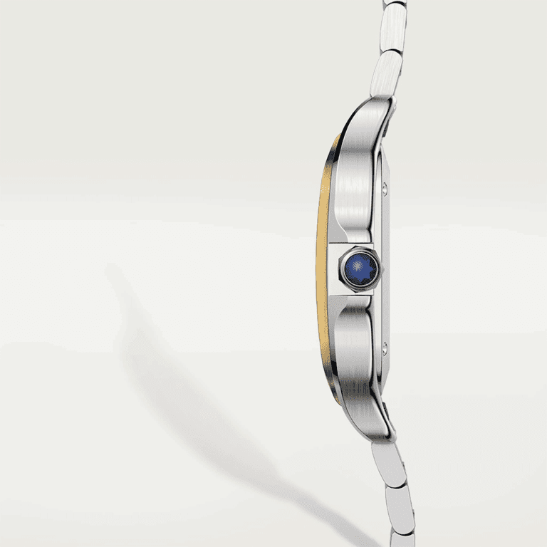 Cartier w2sa0016 online