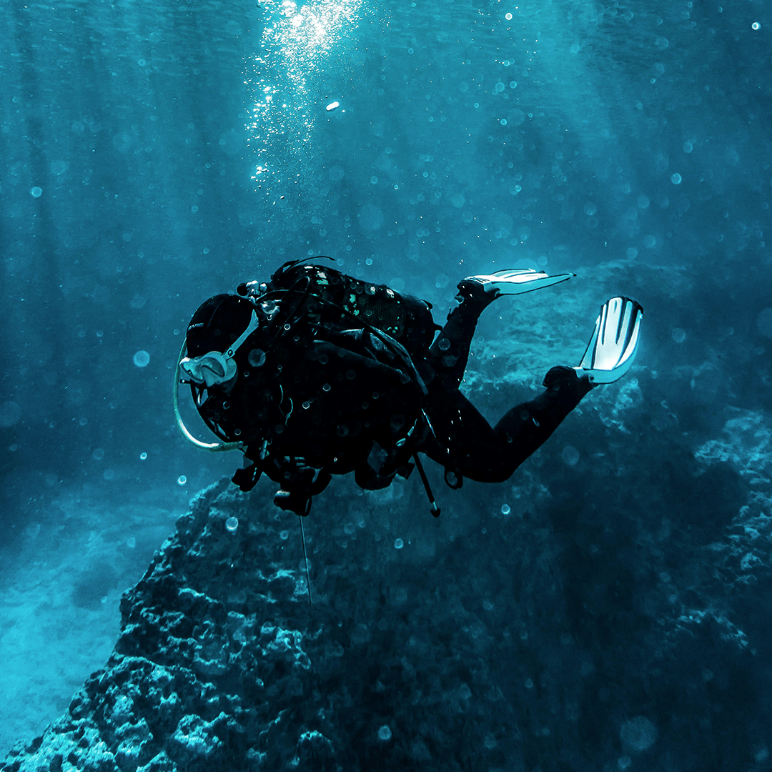 Explore the Ocean's Depths Robust dive watches designed to withstand extreme pressures. Featuring unidirectional bezels and exceptional water resistance