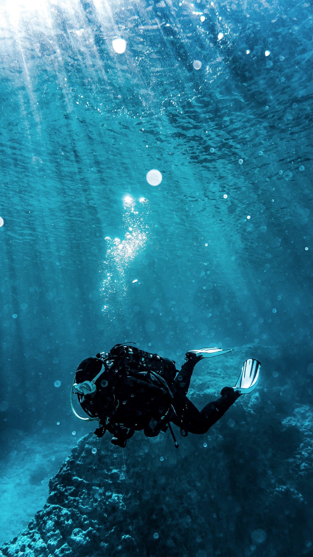 Explore the Ocean's Depths Robust dive watches designed to withstand extreme pressures. Featuring unidirectional bezels and exceptional water resistance