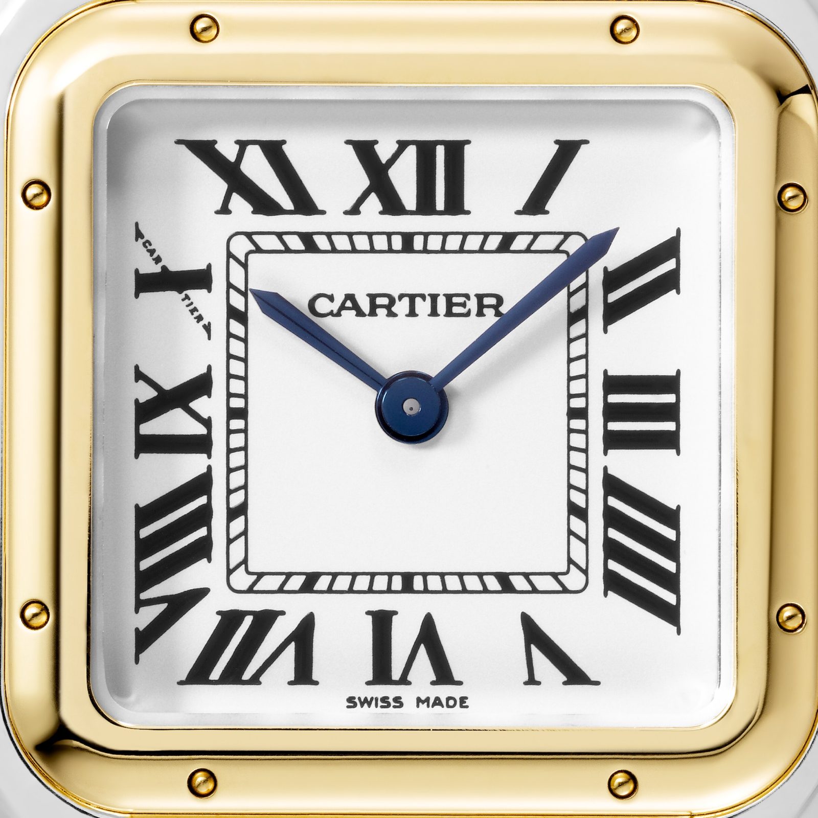 Panthère De Cartier Watch Medium W2PN0014
