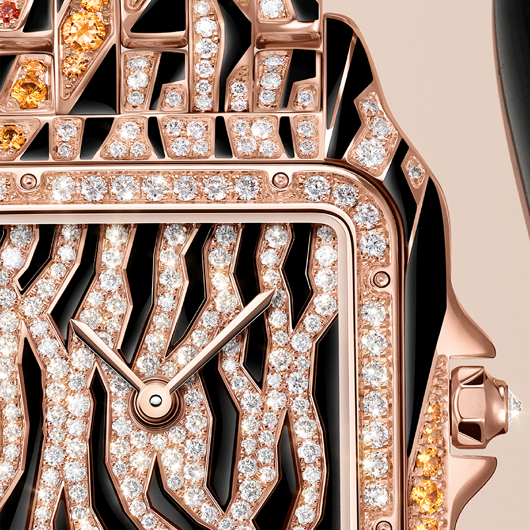 Panthère de Cartier Watch HPI01698