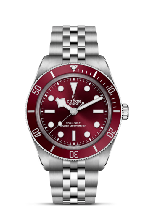 Tudor M7939A1A0RU-0001 BLACK BAY 58