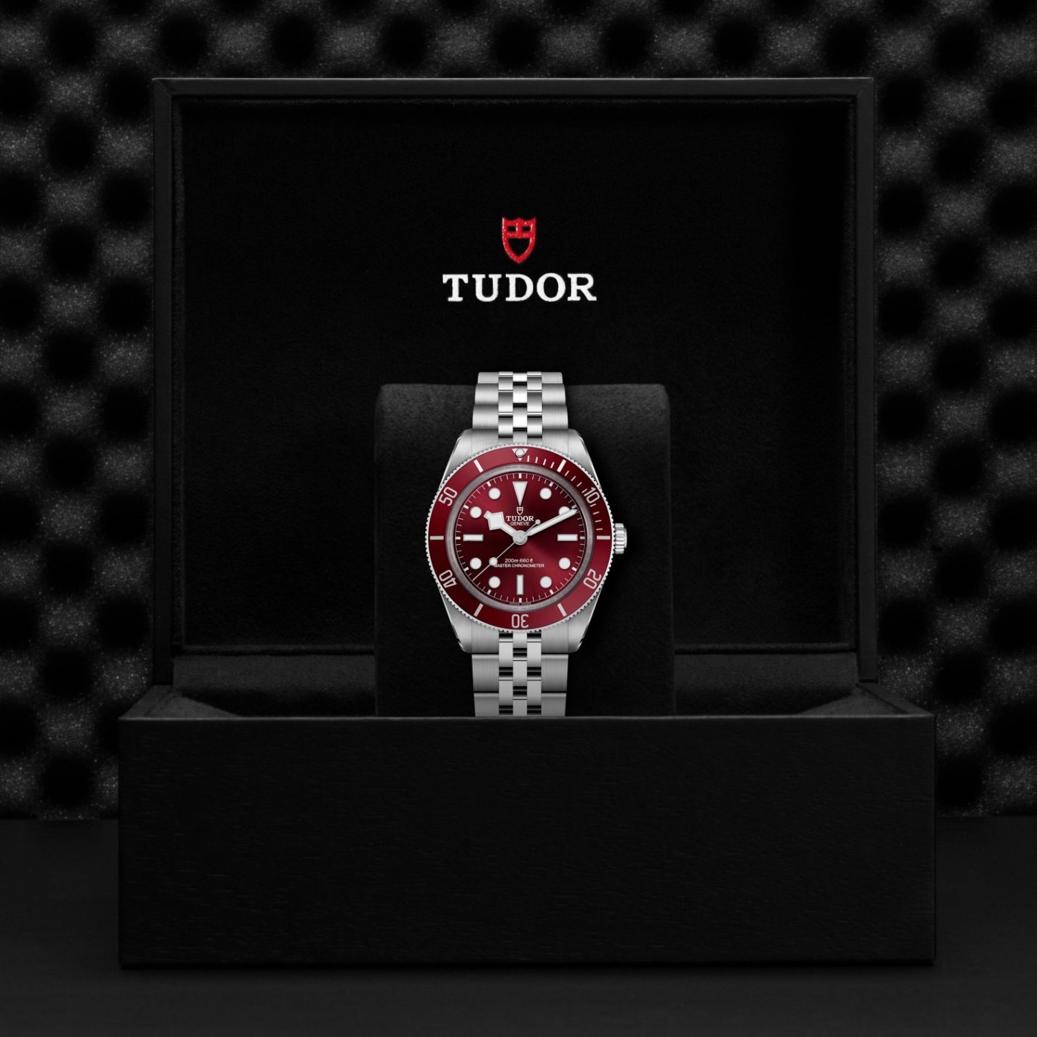 Tudor M7939A1A0RU-0001 BLACK BAY 58