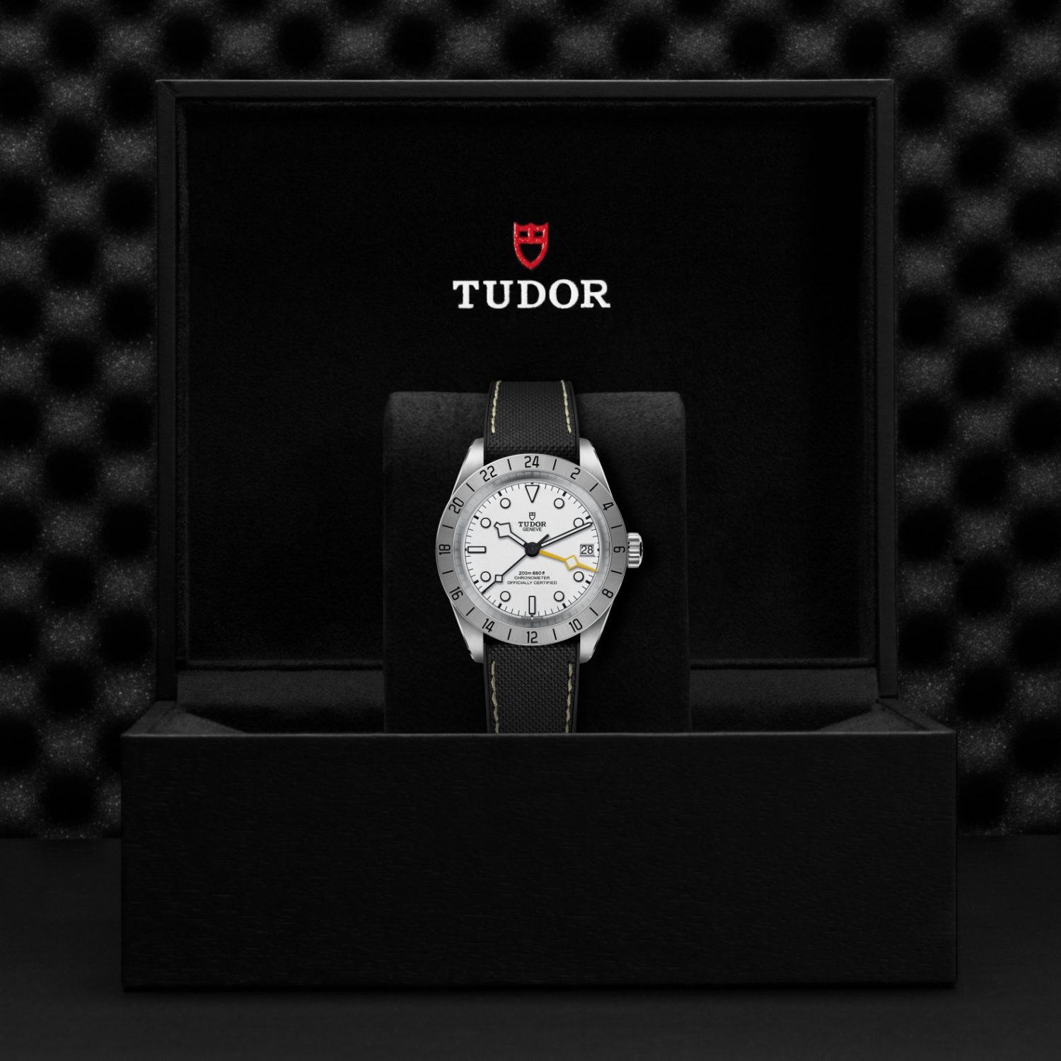 TUDOR M79470-0006 BLACK BAY PRO