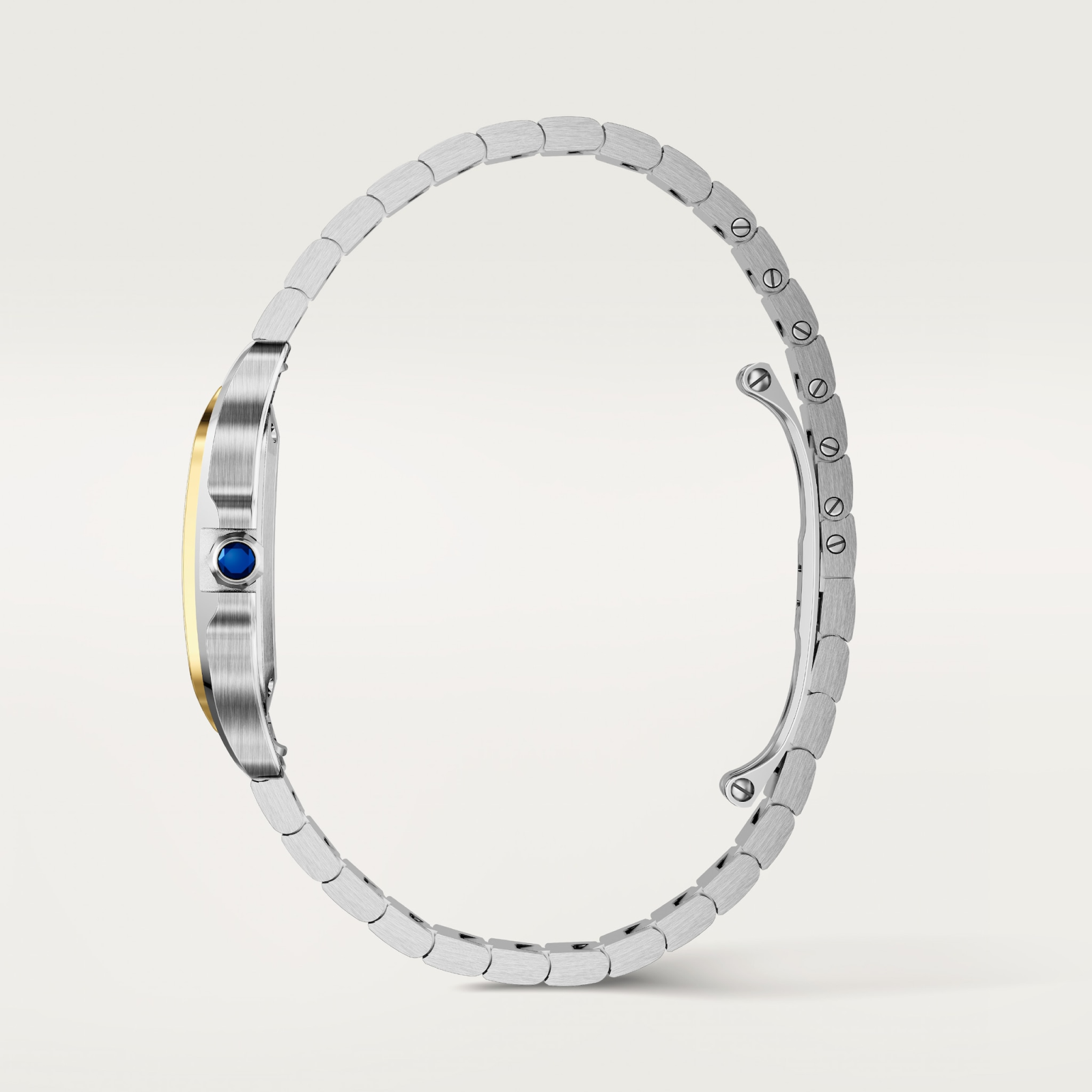 Santos de Cartier watch Small W2SA0033