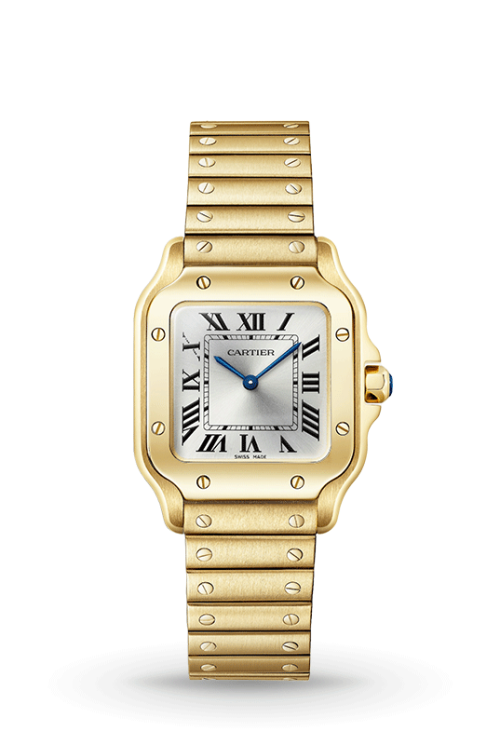 Santos de Cartier watch Small WGSA0107