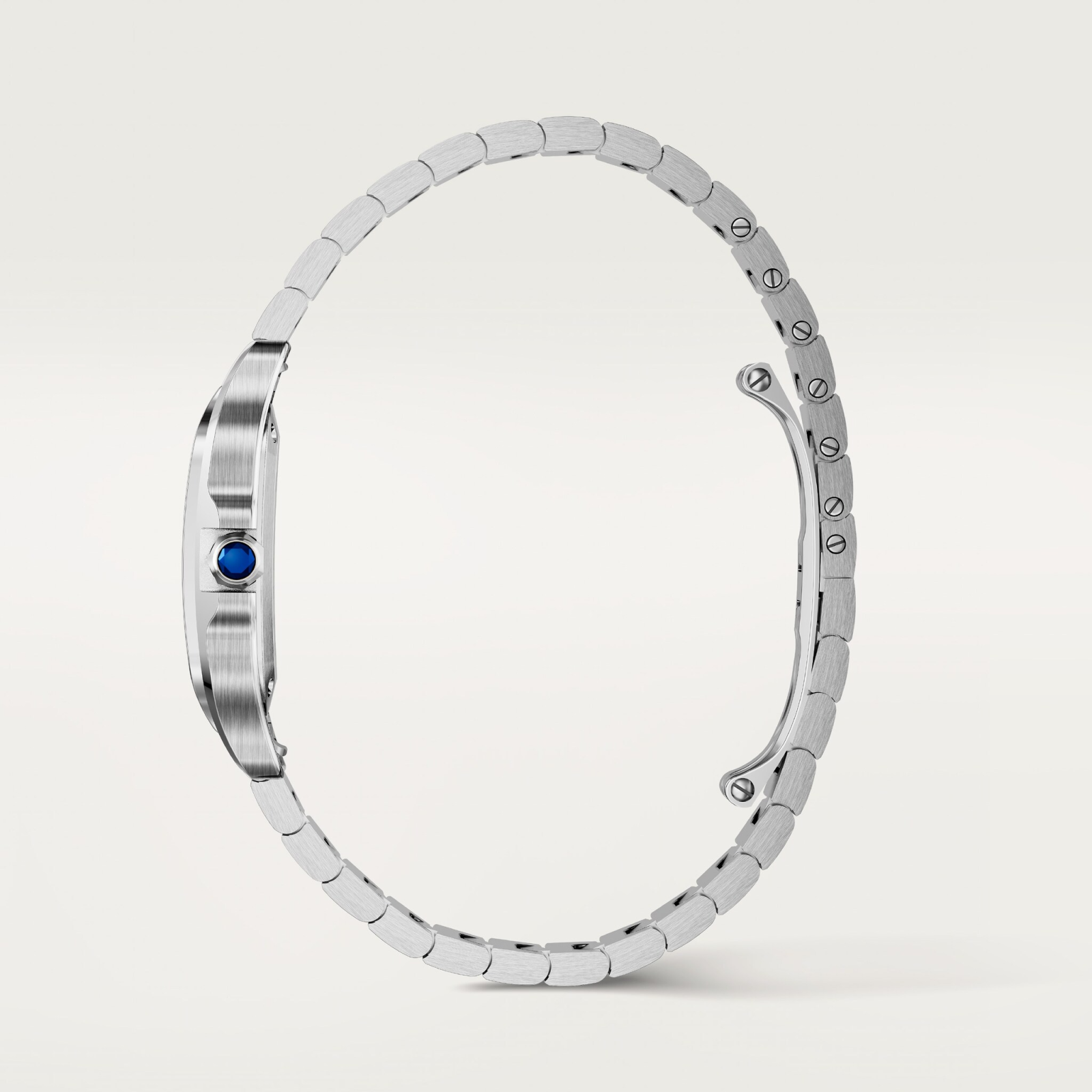 Santos de Cartier watch WSSA0082