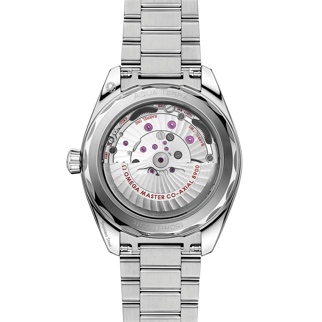 omega-seamaster-aqua-terra-150m-co-axial-master-chronometer-41-mm-22010412101002