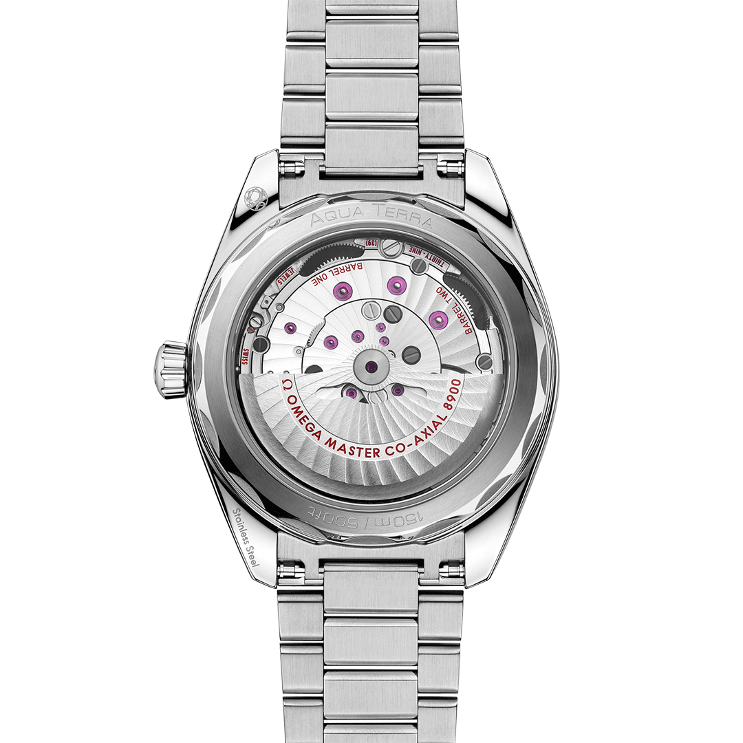 omega-seamaster-aqua-terra-150m-co-axial-master-chronometer-41-mm-22010412103006