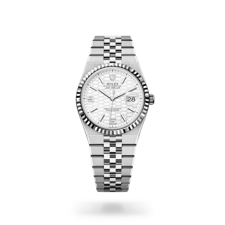 Rolex land-dweller in Oystersteel, M127234-0001* - Watches of Switzerland