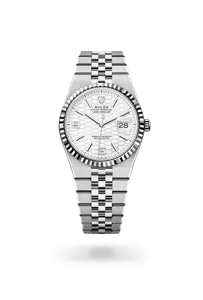 Rolex land-dweller in Oystersteel, M127234-0001* - Watches of Switzerland