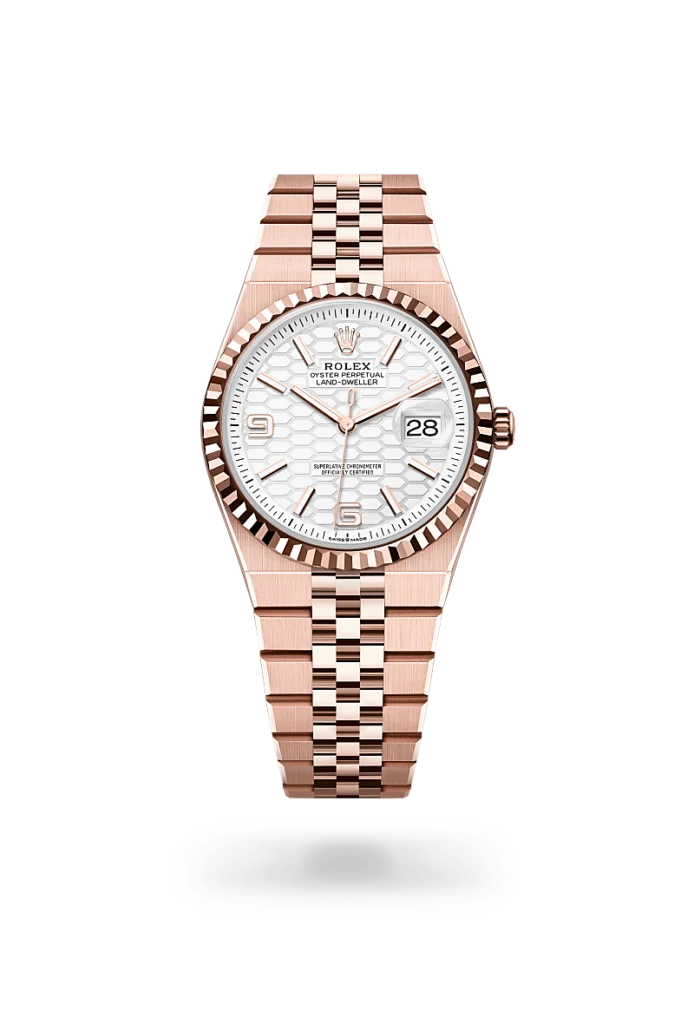 Rolex land-dweller in 18 ct Everose gold, M127235-0001* - Watches of Switzerland