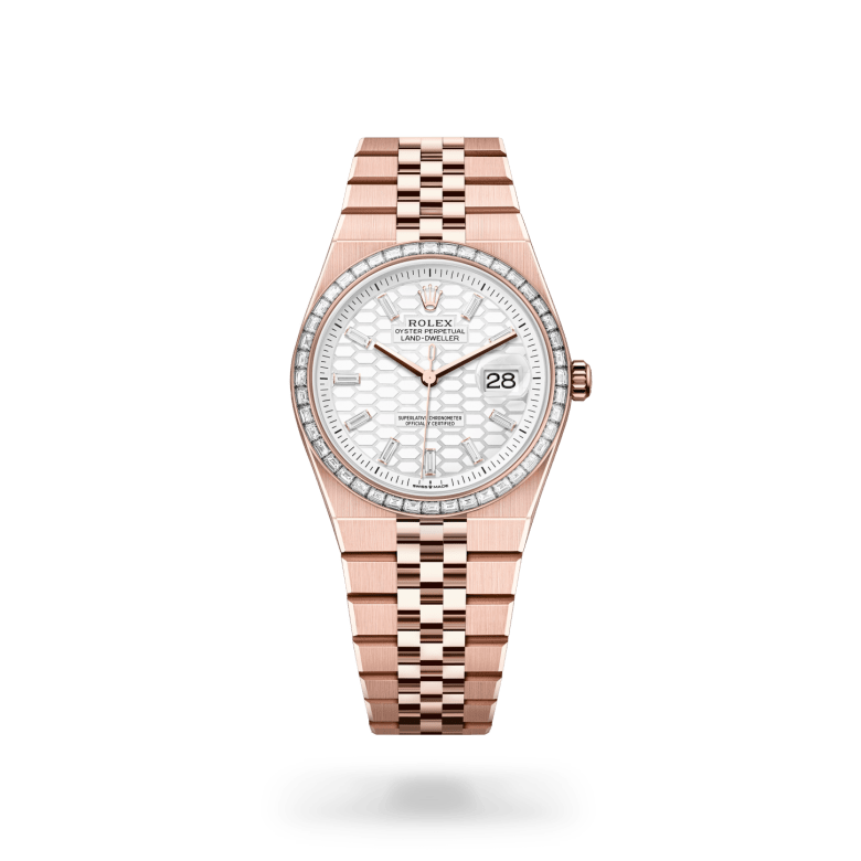 Rolex land-dweller in 18 ct Everose gold, M127285TBR-0002* - Watches of Switzerland