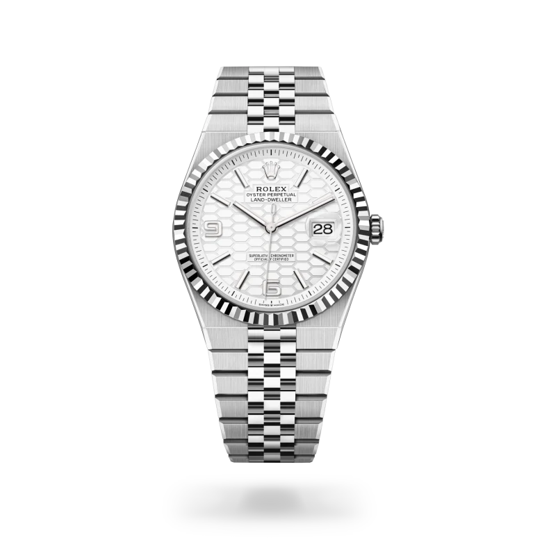 Rolex land-dweller in Oystersteel, M127334-0001* - Watches of Switzerland