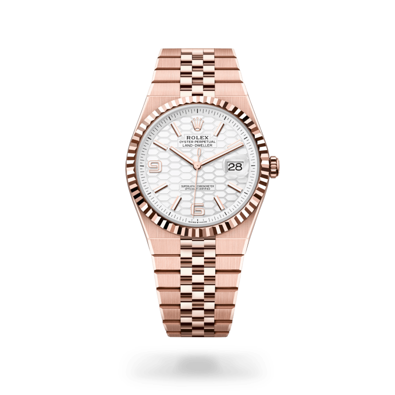 Rolex land-dweller in 18 ct Everose gold, M127335-0001* - Watches of Switzerland
