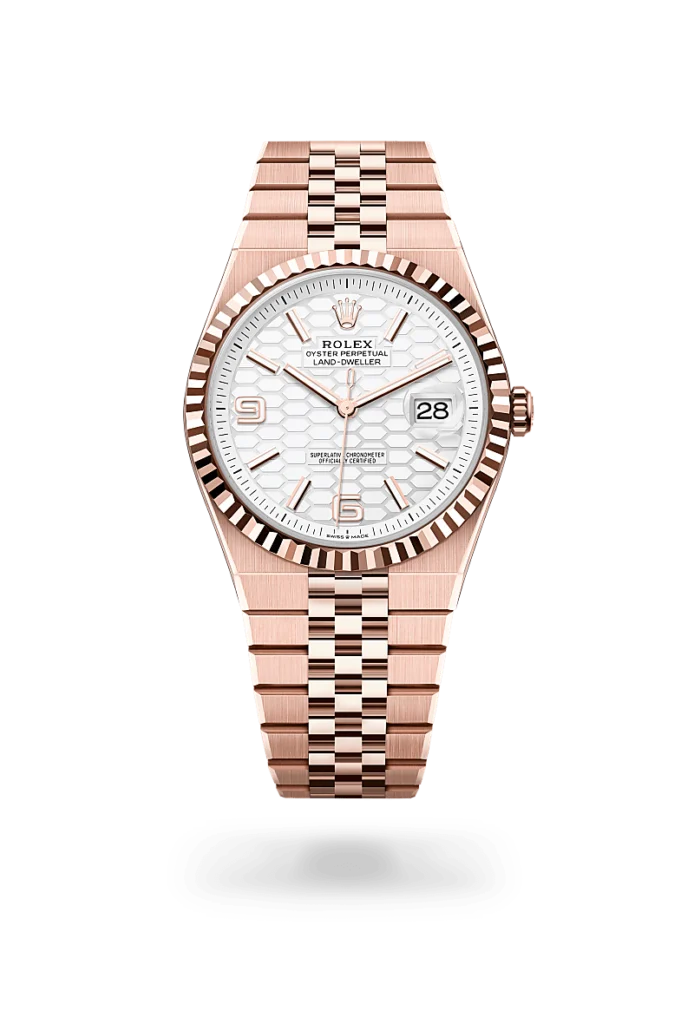 Rolex land-dweller in 18 ct Everose gold, M127335-0001* - Watches of Switzerland