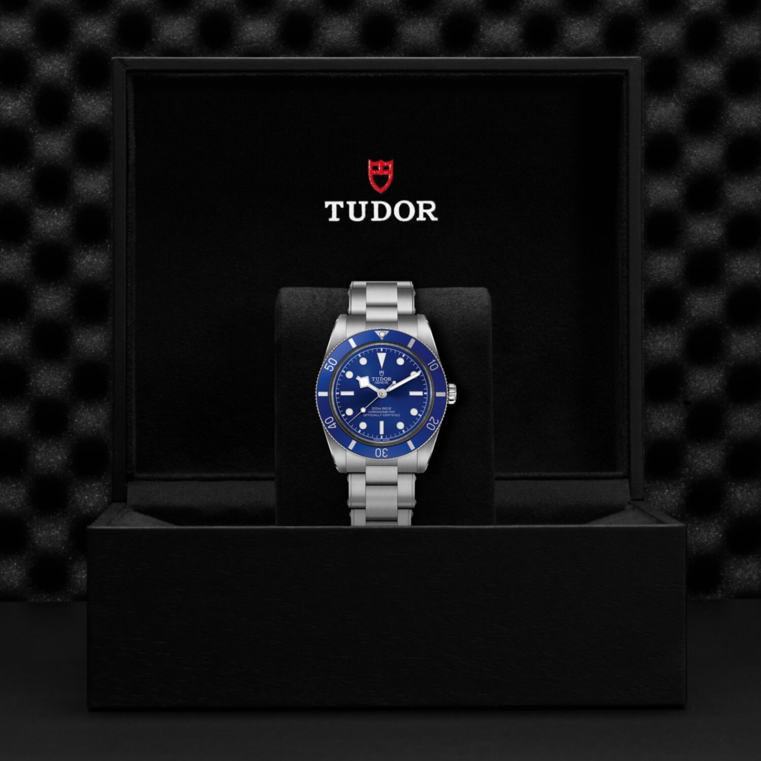 m79000b-0001 Tudor Black Bay 54 blue